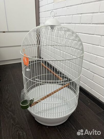 Клетка для попугая