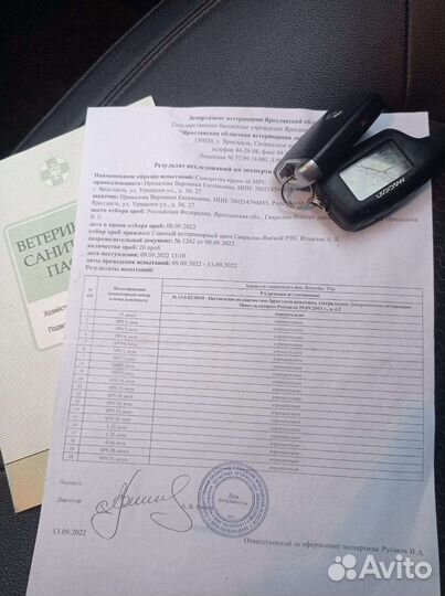 Козье молоко, сыр, молозиво