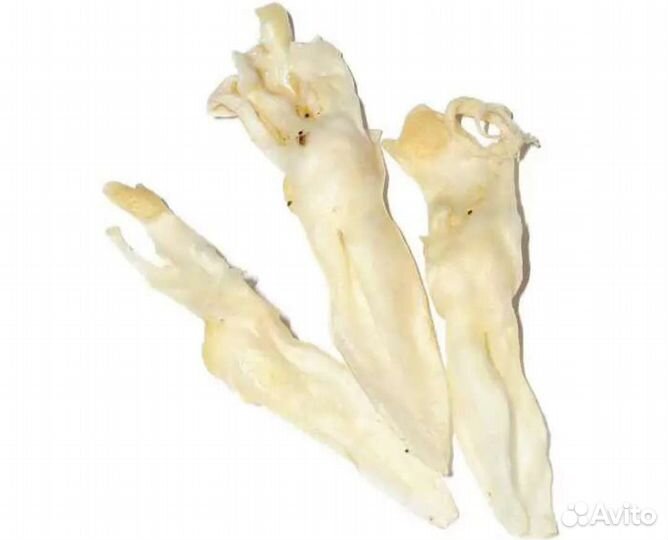 Мясо для собак