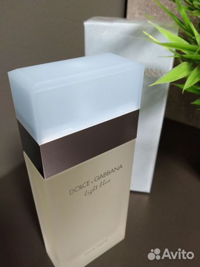 Dolce gabbana light blue 100ml