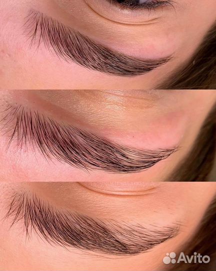 Обучение курс бровист