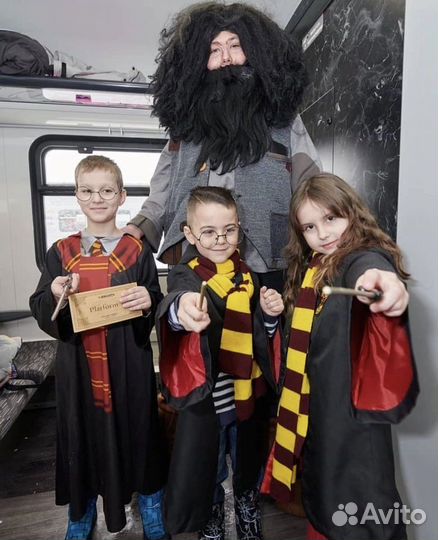 Костюмы для аниматоров. Хагрид, Круэлла, Амонг ас