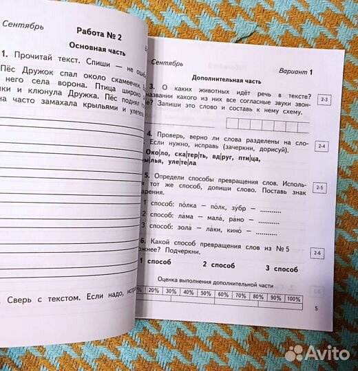 Русский язык, планета знаний, Желтовская, контрол