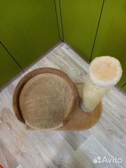 Когтеточка