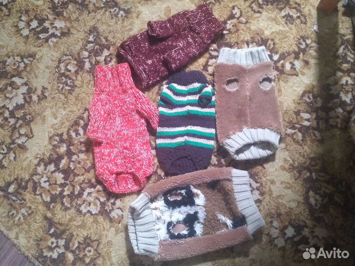 Одежда для собак, кошек