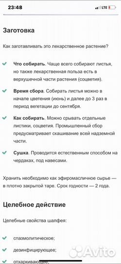 Шалфей лекарственный очень полезный