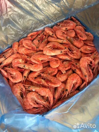 Магаданская креветка