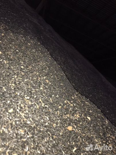 Семечки подсолнечника