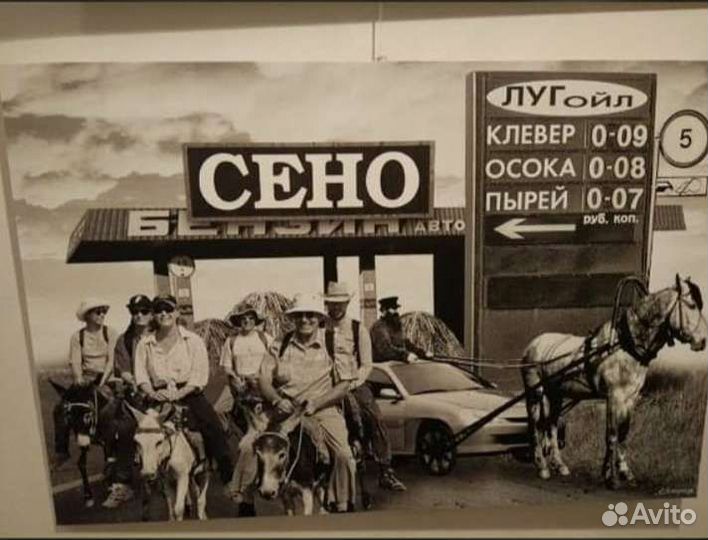 Сено мелкое,ароматное