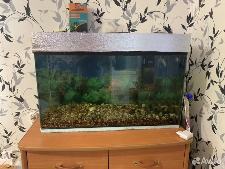 Аквариум