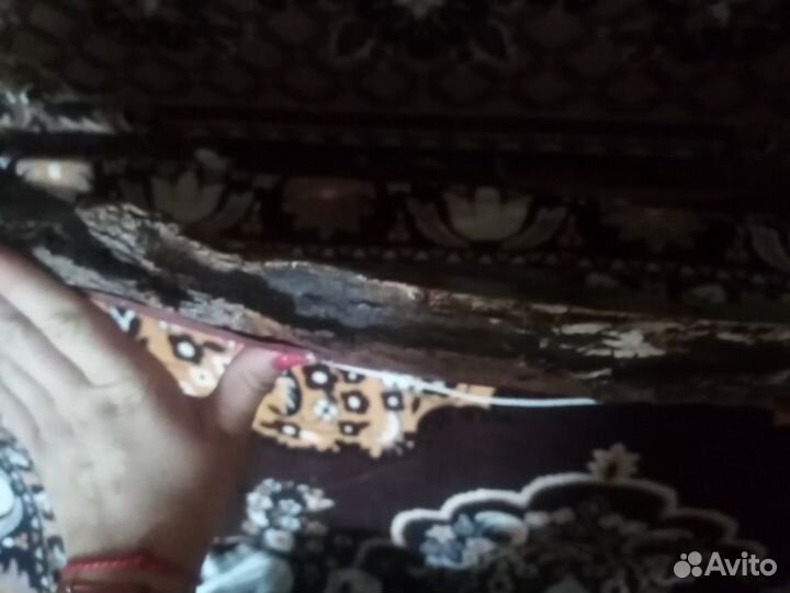 Картина лошадь