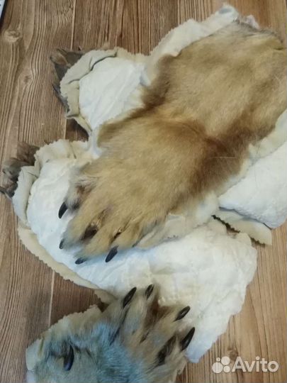 Лапа, шкурки, мех, кунка волка, лисы (имитация)