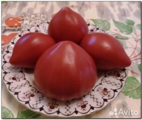 Семена редкого томата Бабушка Быка