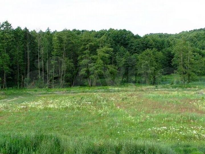 Участок 10 сот. (СНТ, ДНП)