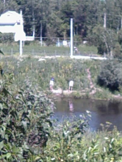 Дача 65 м² на участке 5 сот.