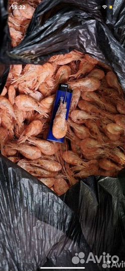 Креветка черноморская