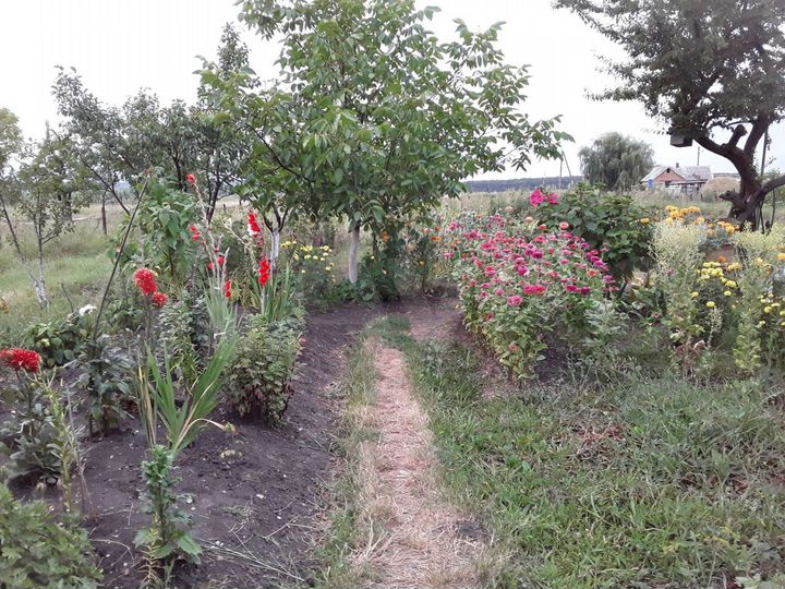 Дом 164 м² на участке 22 сот.