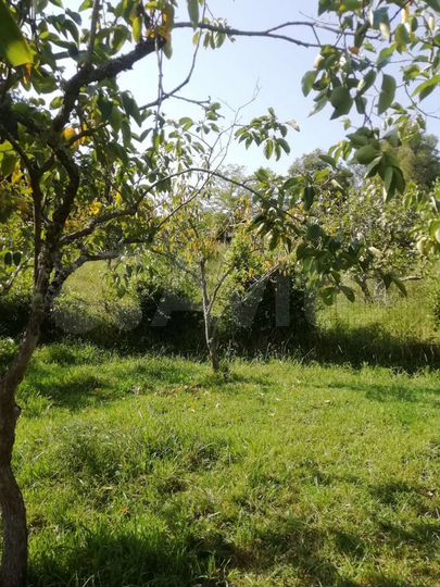 Участок 35,2 сот. (ИЖС)