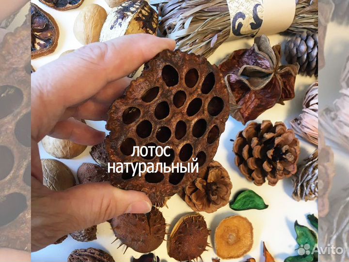 Набор природных материалов для творчества