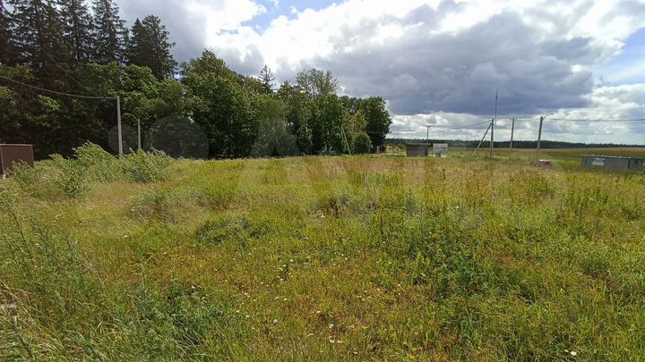 Участок 6 сот. (СНТ, ДНП)