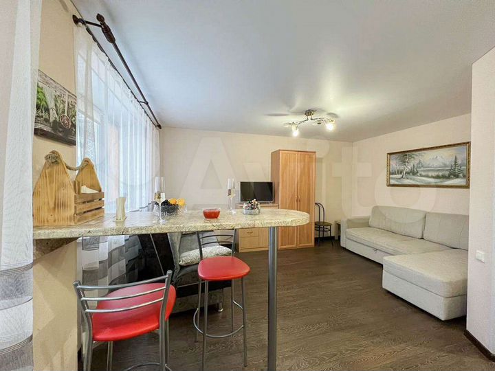 Квартира-студия, 29 м², 1/17 эт.