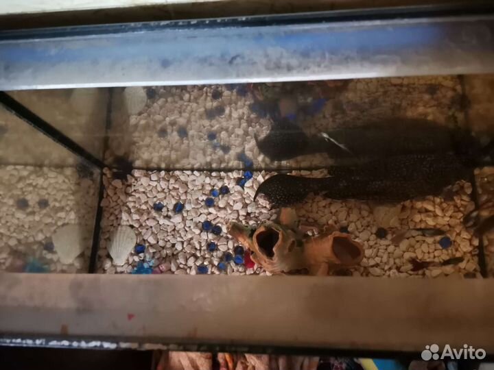 Аквариум с рыбками 30л