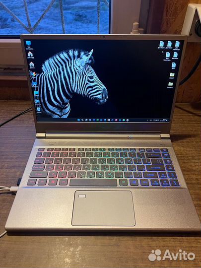 Acer predator triton 300 se