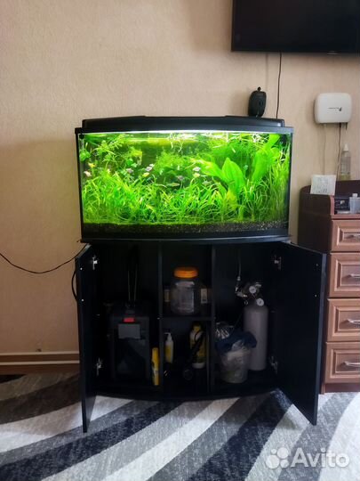 Аквариум с рыбками
