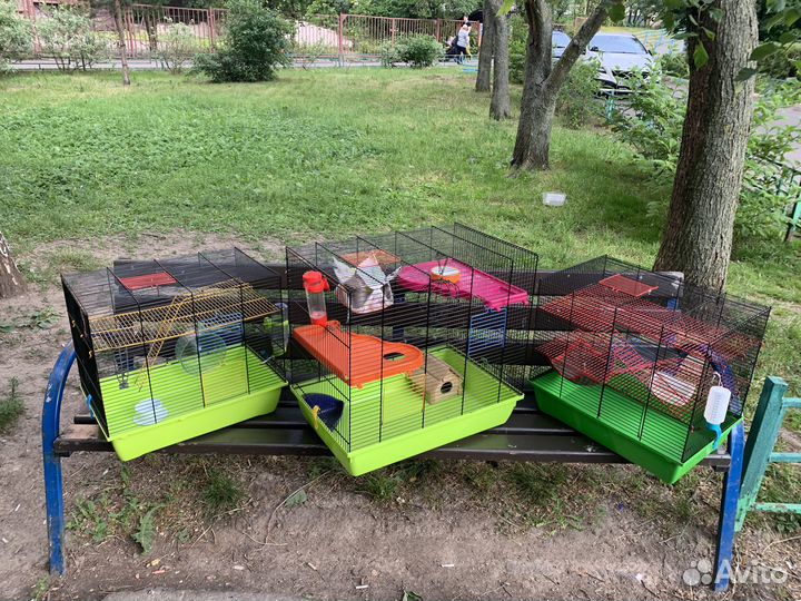 Клетка для крыс дегу хомяков крысят