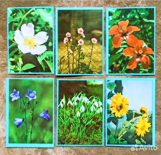 Настольная детская игра СССР Лото Цветы новая