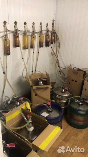 Магазин разливного пива