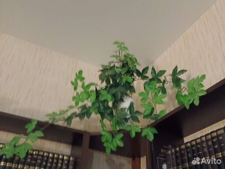 Декор для дома растение искусственный плющ