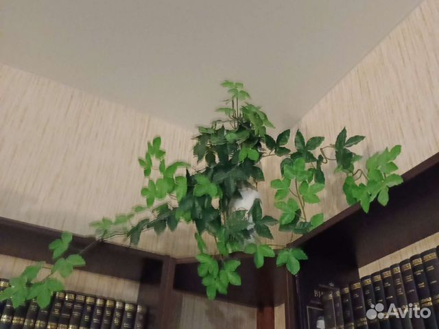 Декор для дома растение искусственный плющ