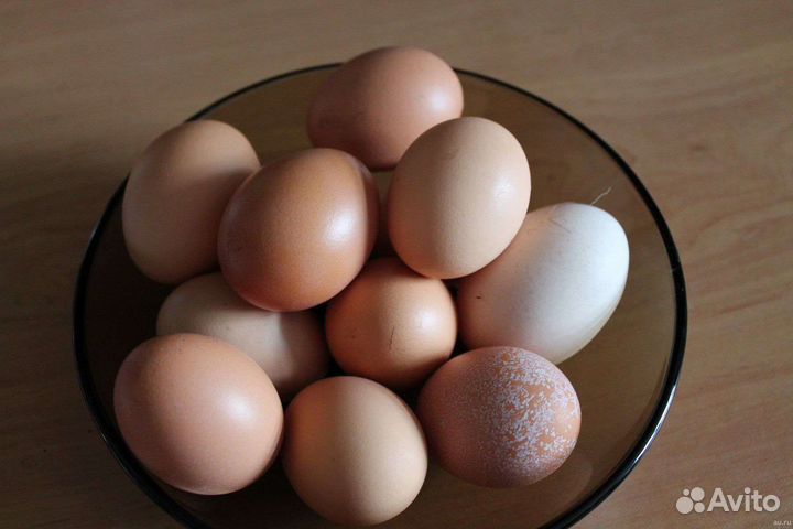 Домашние куриные яйца