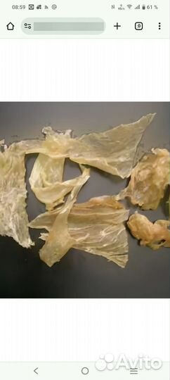 Клей рыбий асетровый 100 г для реставрации