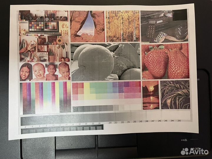 Цветной лазерный принтер Samsung CLP-365