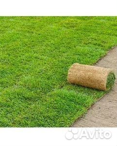 Гидропосев