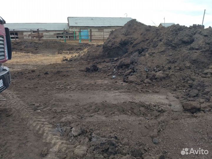 Конский перегной