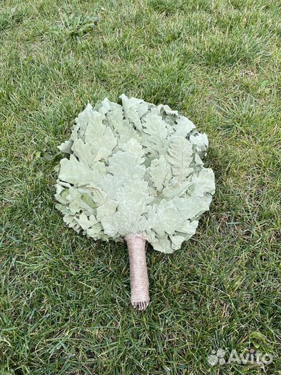 Веники для бани