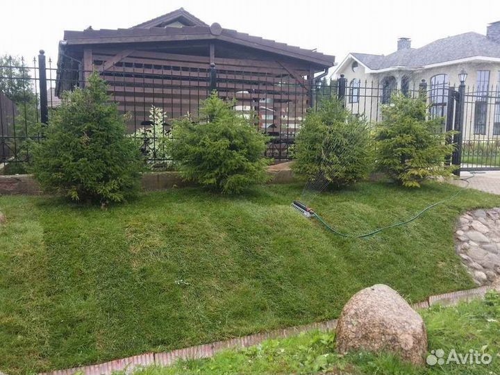 Продажа рулонного газона под ключ