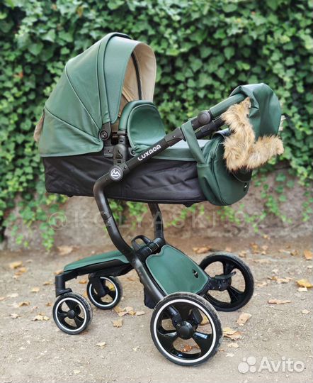 Vinng foofoo (Luxmom A68. Mima xari)