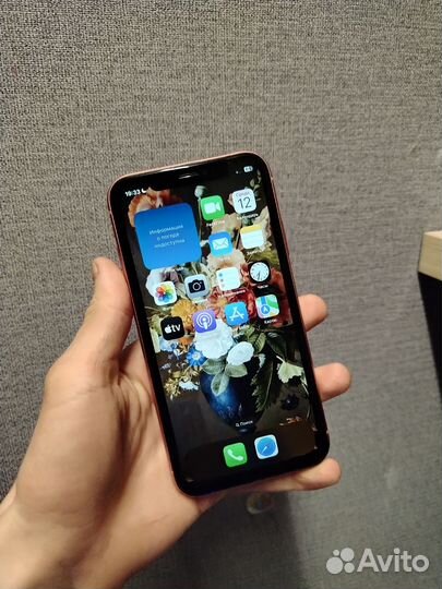iPhone Xr, 128 ГБ