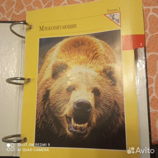 Энциклопедия животных,цветные карты 4 тома