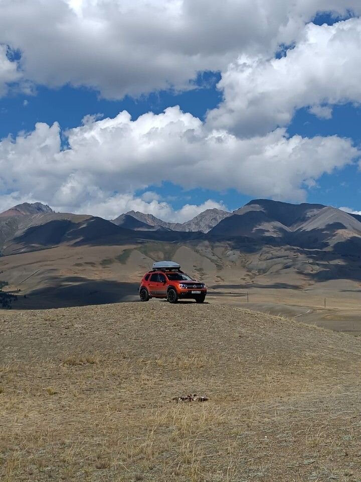 Renault Duster: фото владельца