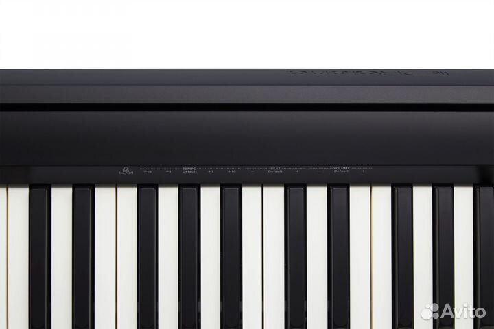 Цифровое пианино Roland FP-10-BK черное