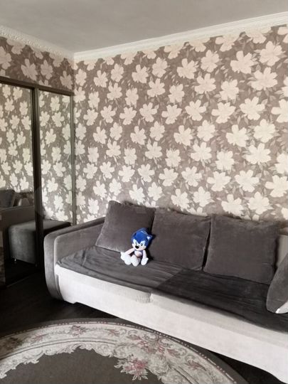 2-к. квартира, 42,9 м², 3/4 эт.