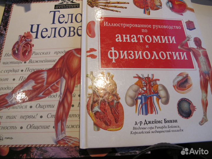 Серия книг Что Есть Что