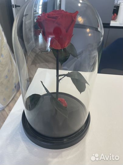 Вечная роза в колбе