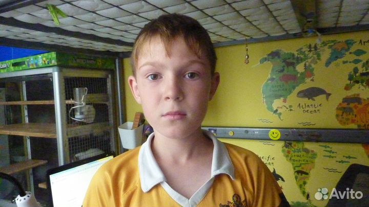 Учим играть в мобильную игру Roblox