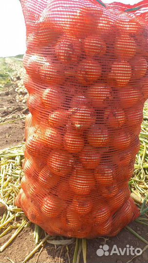 Лук репчатый оптом 5+ от 10тонн